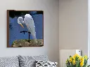 close up wall - perspective.webp