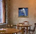 plumas tropicales - no. 2 (1).webp