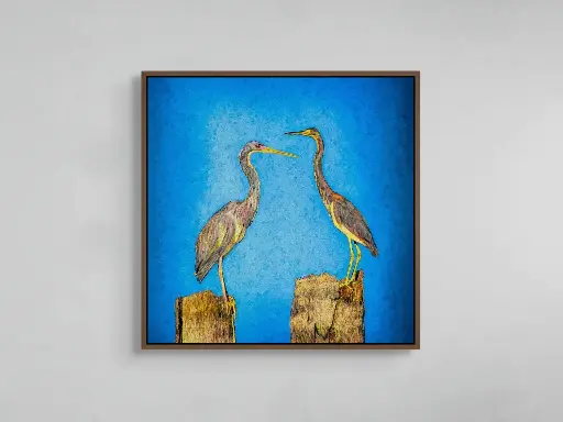 Dos Garzas | Canvas– 30" x 30".